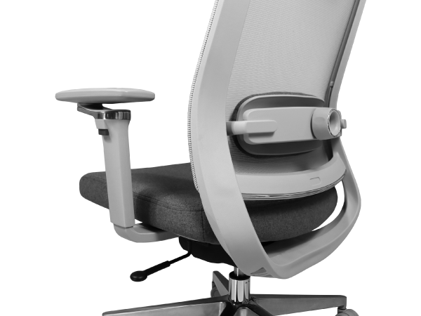 Alfa Gris - Image 5